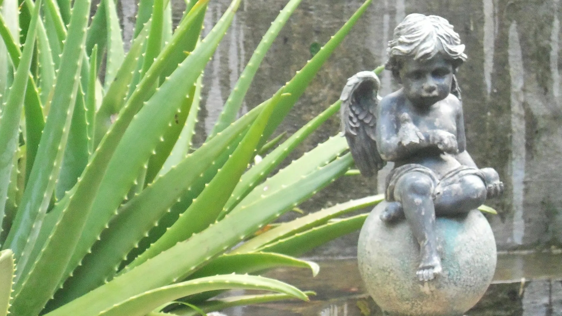 Guest house Selera Dunia Boutique Hotel Windward Side